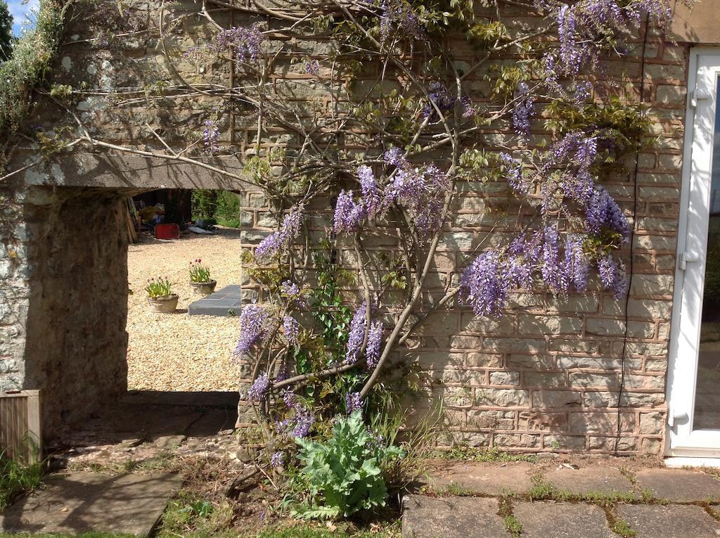 考池之家住宿加早餐旅馆 Ross-on-Wye 外观 照片